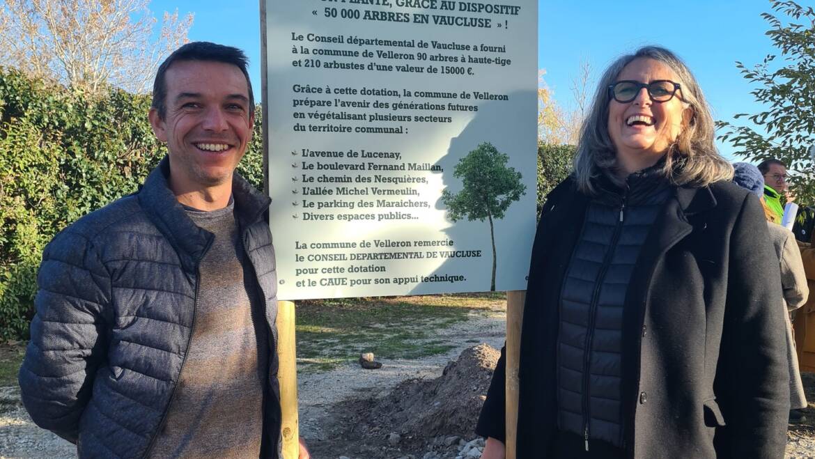 Opération 50 000 arbres en Vaucluse